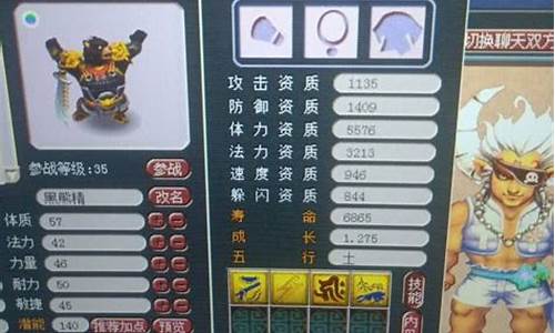 梦幻西游叶子猪梦幻工具箱_梦幻西游叶子猪