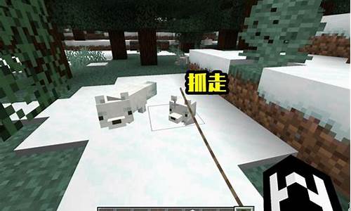 我的世界驯服狐狸用什么_我的世界 驯服狐狸