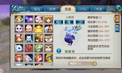 梦幻诛仙宠物大全_梦幻诛仙宠物大全图