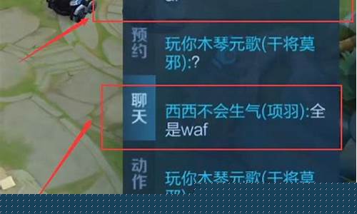 王者wtf_王者荣耀waf是什么意思