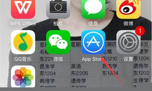 苹果如何安装王者荣耀体验服_苹果手机如何