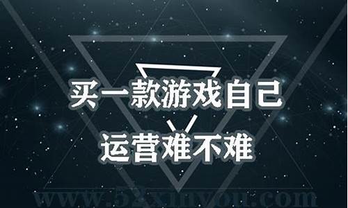 买一款游戏自己运营能赚多少钱_买一款游戏