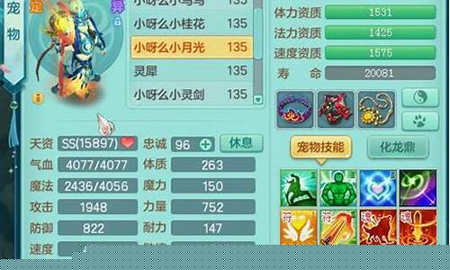 神武飞升_神武飞升129和普通129差别