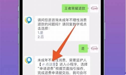王者荣耀如何申请退款退全款成年_王者荣耀成年退款教程
