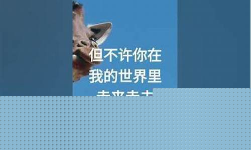 我允许你走进我的世界_我允许你走进我的世界但不能走来