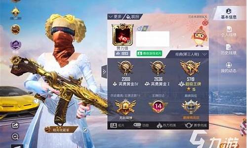 和平精英_和平精英陪打游戏的平台有哪些